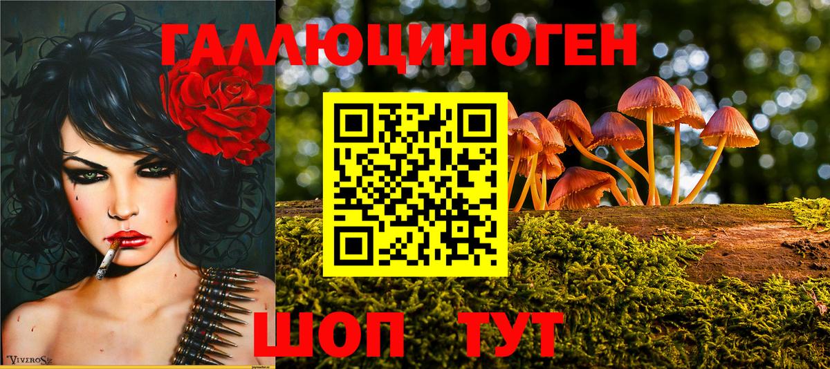 Выборг  Галлюциногенные грибы GOLDEN TEACHER  Вход с VPN 